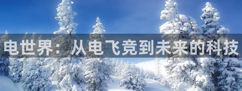 雷火电竞技平台：电世界：从电飞竞到未来的科技