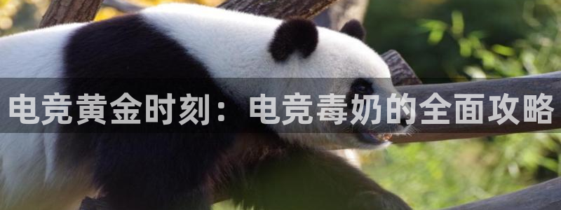 雷火电竞app官网：电竞黄金时刻：电竞毒奶的全面攻略