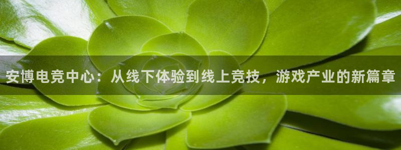 雷火电竞app下载：安博电竞中心：从线下体验到线上竞技，游戏产业的新篇章