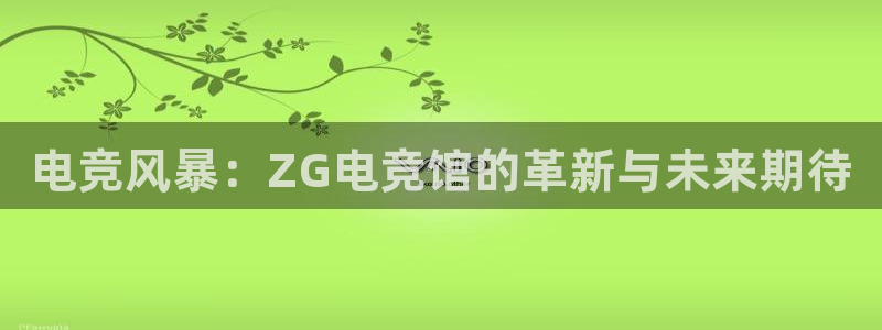 雷火电竞官网首页登录：电竞风暴：ZG电竞馆的革新与未来期待