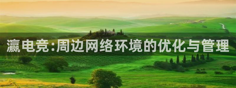 雷火电竞审核多长时间：瀛电竞:周边网络环境的优化与管理