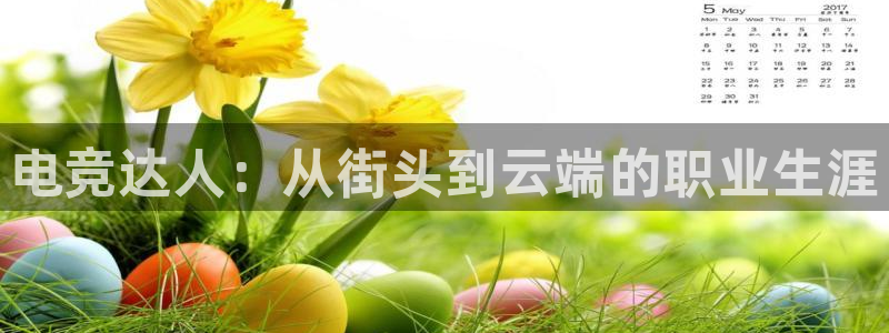 雷火电竞入口：电竞达人：从街头到云端的职业生涯