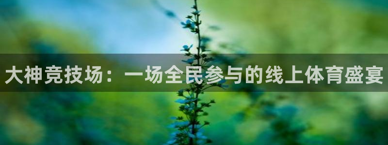 雷火电竞平台入口：大神竞技场：一场全民参与的线上体育盛宴