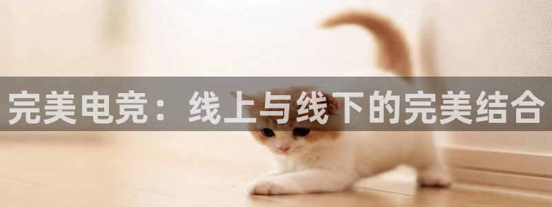 下载雷火电竞app：完美电竞：线上与线下的完美结合