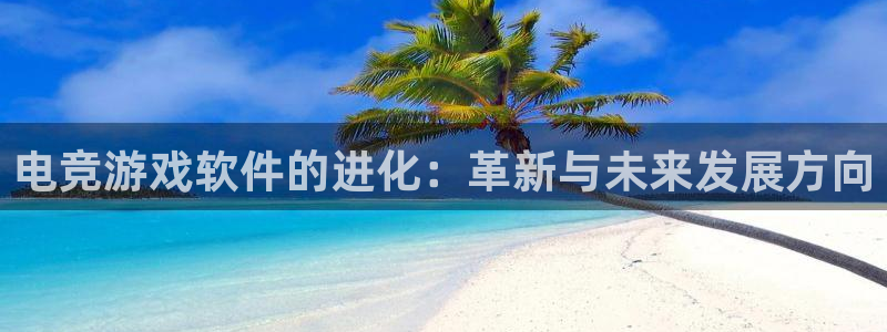雷火电竞亚洲官网：电竞游戏软件的进化：革新与未来发展方向