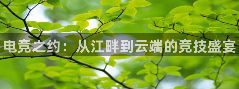 雷火电竞网站：电竞之约：从江畔到云端的竞技盛宴