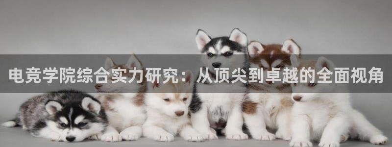 雷火电竞app最新版下载：电竞学院综合实力研究：从顶尖到卓越的全面视角