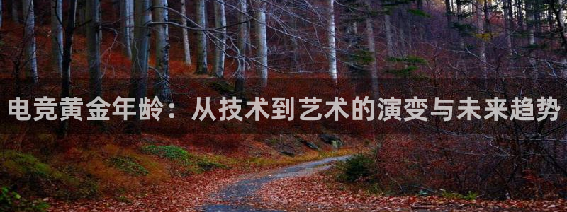 雷火电竞官网在线：电竞黄金年龄：从技术到艺术的演变与未来趋势