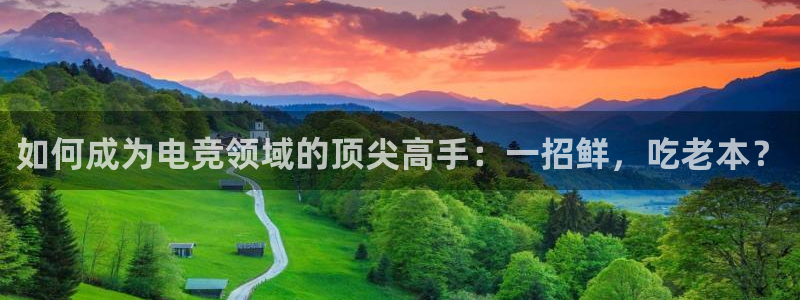 雷火电竞app最新版下载：如何成为电竞领域的顶尖高手：一招鲜，吃老本？