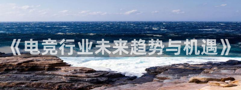 海南雷火电竞：《电竞行业未来趋势与机遇》