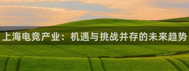 雷火电竞app官方网站：上海电竞产业：机遇与挑战并存的未来趋势