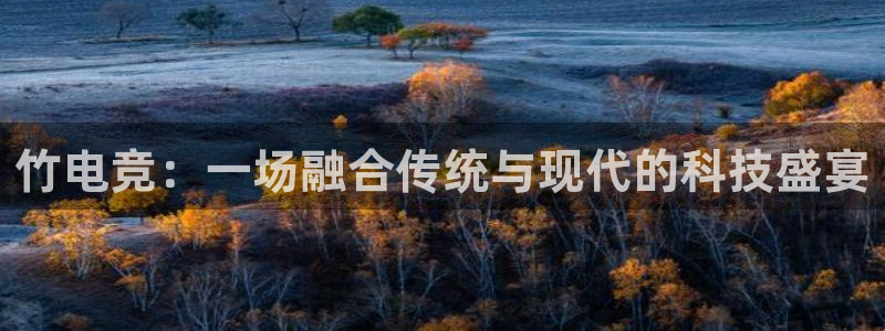 雷火电竞app官网：竹电竞：一场融合传统与现代的科技盛宴