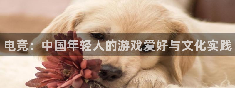 雷火电竞app官网入：电竞：中国年轻人的游戏爱好与文化实践