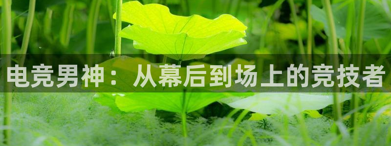 雷火电竞：电竞男神：从幕后到场上的竞技者