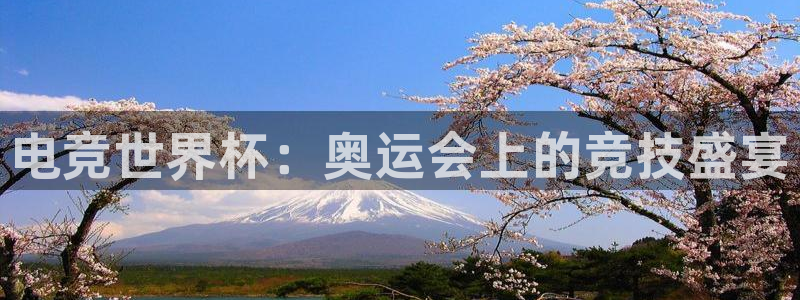 雷火电竞官网app下载：电竞世界杯：奥运会上的竞技盛宴