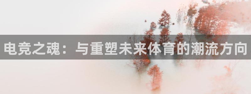 雷火电竞：电竞之魂：与重塑未来体育的潮流方向