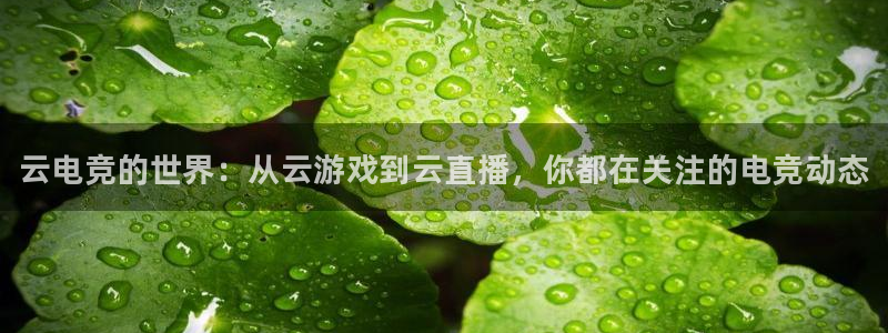 雷火电竞赛事平台：云电竞的世界：从云游戏到云直播，你都在关注的电竞动态