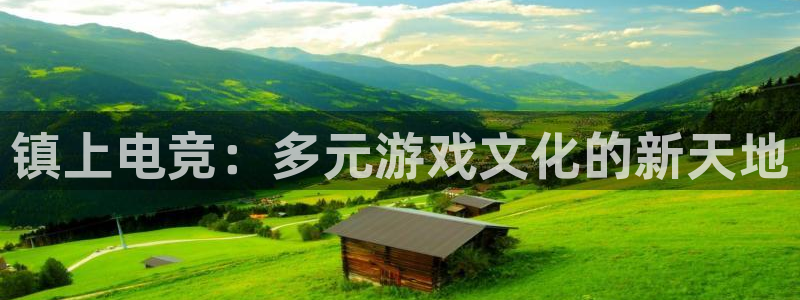 雷火电竞登陆：镇上电竞：多元游戏文化的新天地