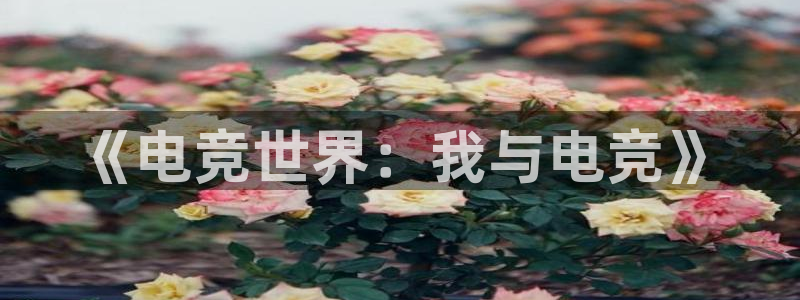 雷火电竞官网在线：《电竞世界：我与电竞》