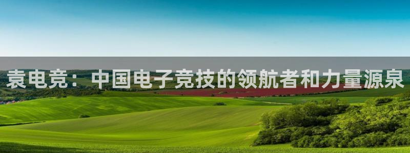 雷火电竞体育：袁电竞：中国电子竞技的领航者和力量源泉