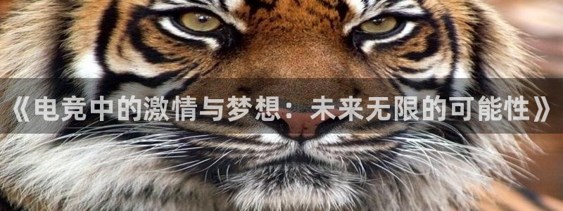 雷火电竞提款多久能到：《电竞中的激情与梦想：未来无限的可能性》