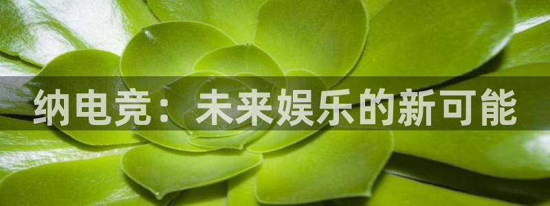 雷火电竞官网首页登录：纳电竞：未来娱乐的新可能
