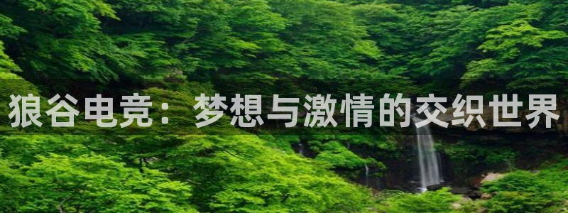 雷火电竞亚洲官网：狼谷电竞：梦想与激情的交织世界