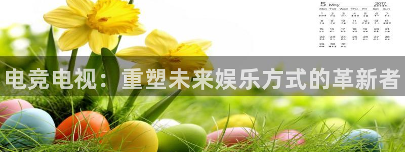 雷火电竞热门赛事有哪些：电竞电视：重塑未来娱乐方式的革新者