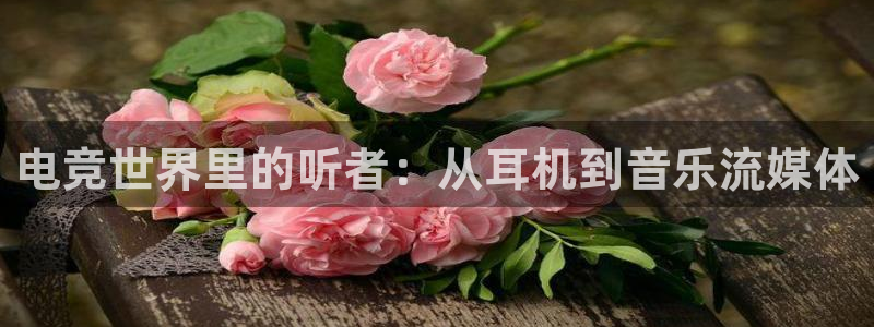 雷火电竞app下载：电竞世界里的听者：从耳机到音乐流媒体