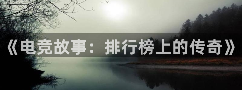 雷火电竞风控：《电竞故事：排行榜上的传奇》