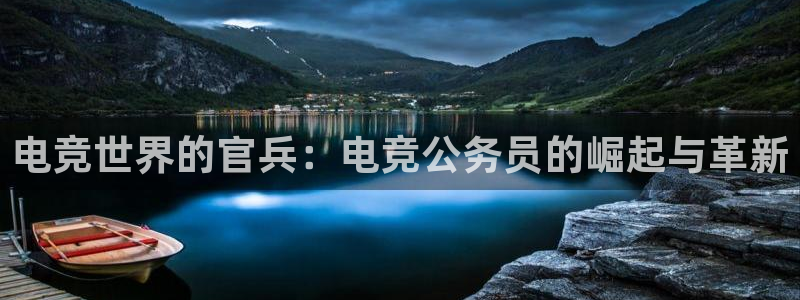 雷火电竞下载：电竞世界的官兵：电竞公务员的崛起与革新