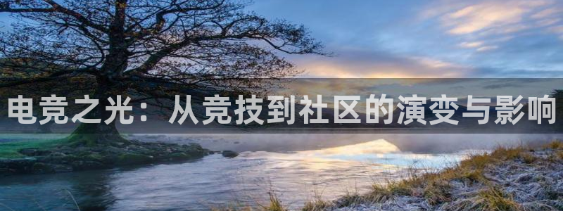 雷火电竞平台app下载：电竞之光：从竞技到社区的演变与影响
