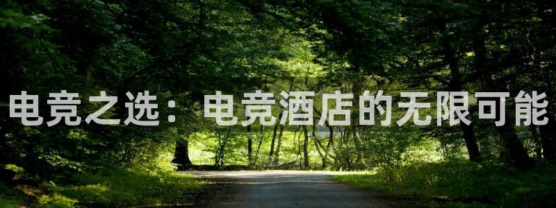 雷火电竞赏金赛赚钱版：电竞之选：电竞酒店的无限可能