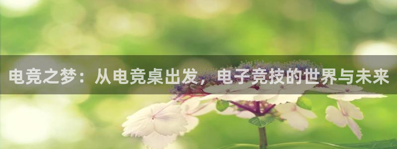 雷火电竞网站：电竞之梦：从电竞桌出发，电子竞技的世界与未来