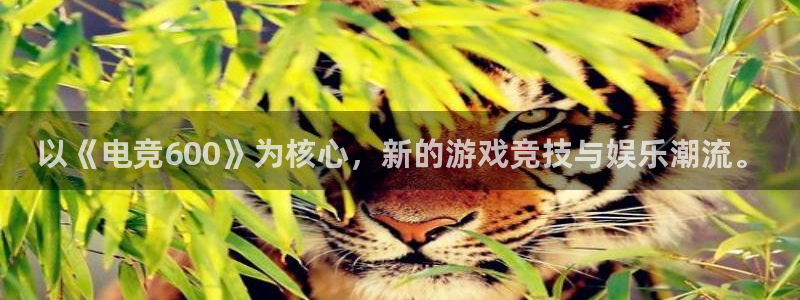 雷火电竞封号：以《电竞600》为核心，新的游戏竞技与娱乐潮流。