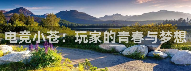e8125雷火电竞官网：电竞小苍：玩家的青春与梦想