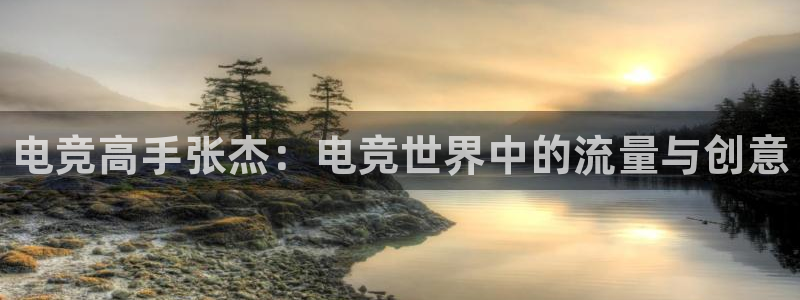 雷火电竞官网入口：电竞高手张杰：电竞世界中的流量与创意