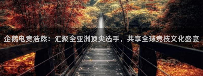 雷火电竞网页版登录入口：企鹅电竞浩然：汇聚全亚洲顶尖选手，共享全球竞技文化盛宴