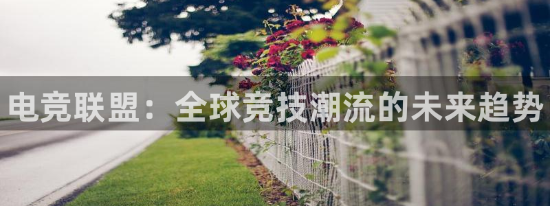 tf雷火电竞网页版：电竞联盟：全球竞技潮流的未来趋势