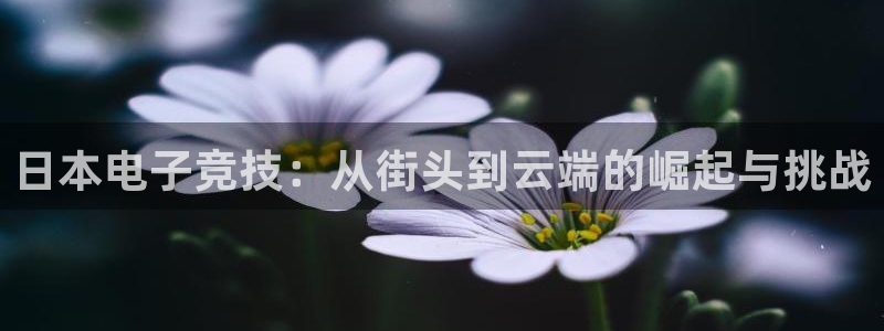 雷火电竞亚洲官网：日本电子竞技：从街头到云端的崛起与挑战