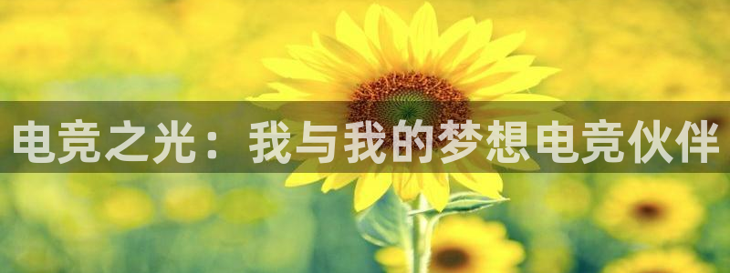 下载雷火电竞app：电竞之光：我与我的梦想电竞伙伴