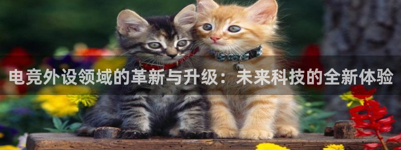 雷火电竞app最新版下载：电竞外设领域的革新与升级：未来科技的全新体验